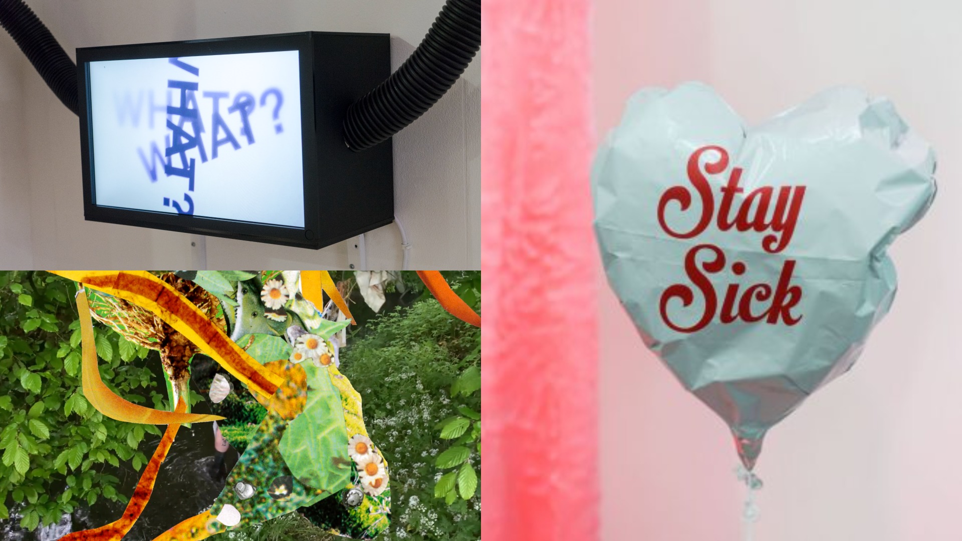Three images in a composite – top left image: a black rectangular lightbox with a white screen has the word what with a question mark written 3 times on it, black pipes leave the box on the left and right sides. Top right image: a white heart shaped balloon has the words stay sick written in the middle. Bottom left image: a collage of green leaves, white daisies with yellow centres, and stripes of yellow and red streak across the image.